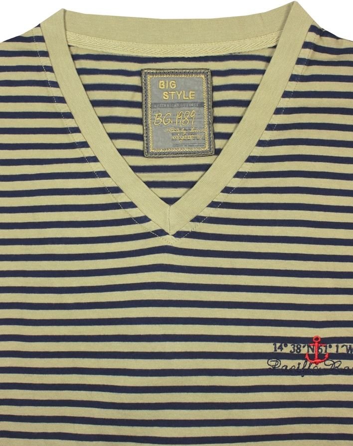 Büyük Beden V-Yaka T-Shirt T136